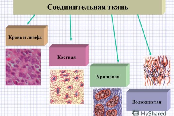 Где найти рабочую ссылку на кракен