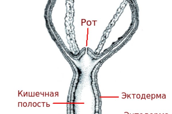 Кракен лег