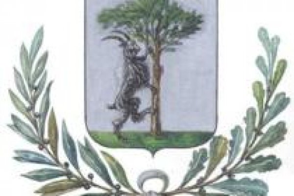 Ссылка на кракен тор браузер