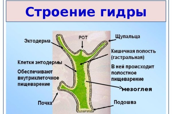 Кракен сайт в тор браузере