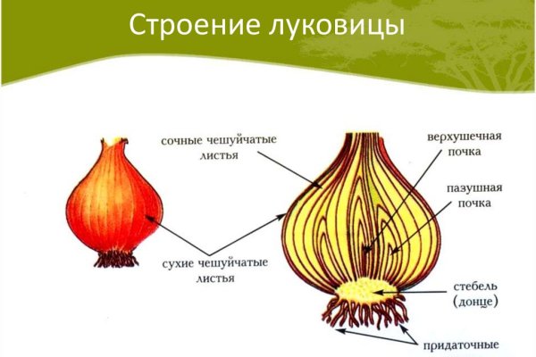 Как найти кракен в торе
